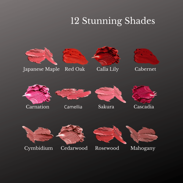 Crème Lipstick - Velvet Matte Finish - Image 2